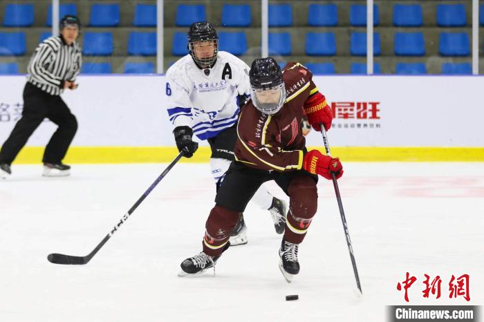 犀旺杯第四届全国大学生冰球联赛在北京奥众冰
